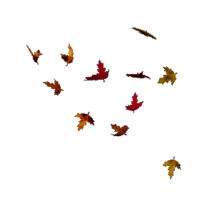 les feuilles mortes
